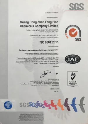 ISO9001(英文)