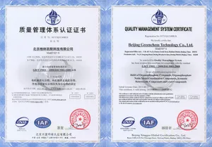 ISO9001(中文)