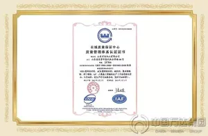 ISO9001(中文)