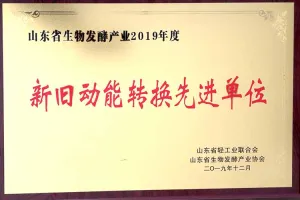 其他证书