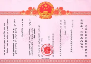 荣誉证书