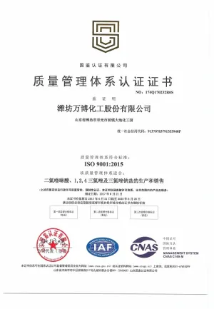 ISO9001(中文)
