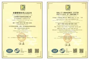 ISO9001(中文)