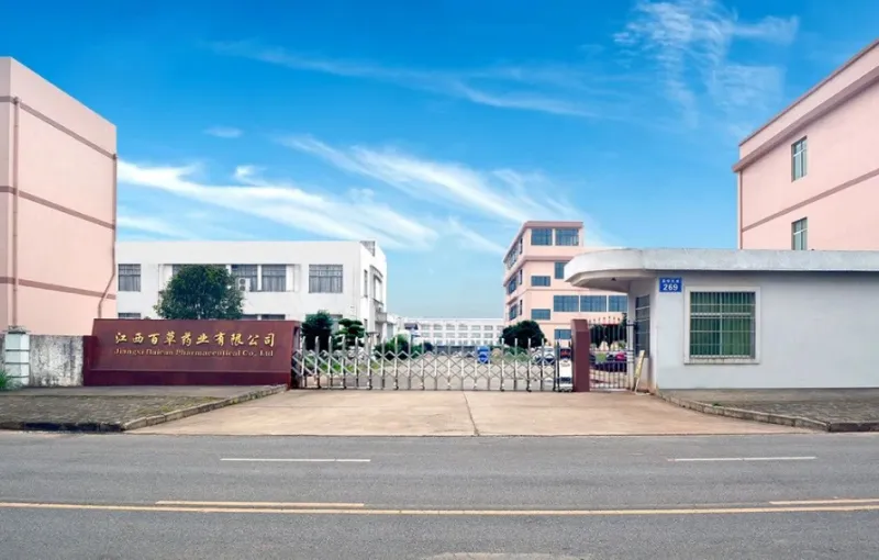 厂房大门