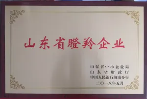 荣誉证书