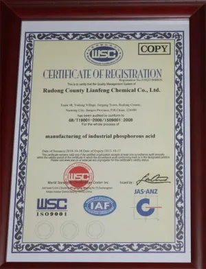 ISO9001(英文)