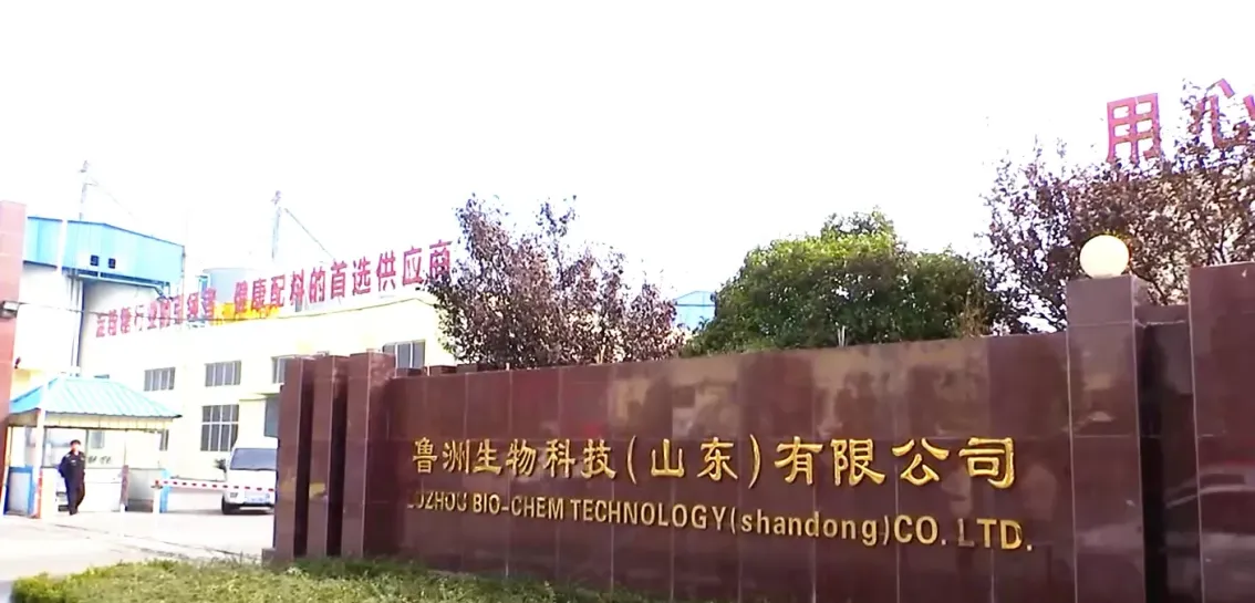 厂房大门