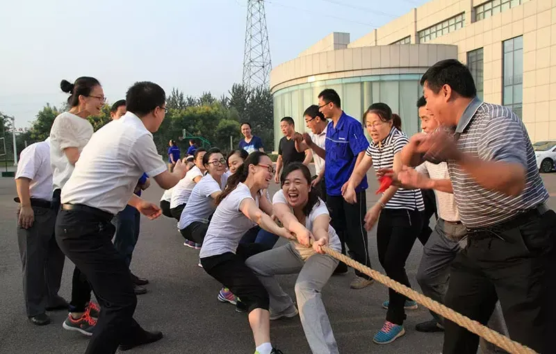 公司活动