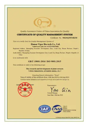 ISO9001(英文)