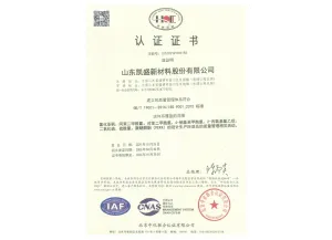 ISO9001(中文)