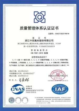 ISO9001(中文)