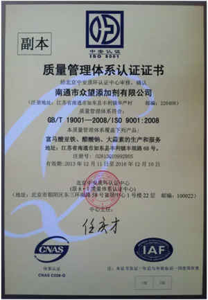 ISO9001(中文)