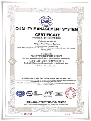 ISO9001(英文)