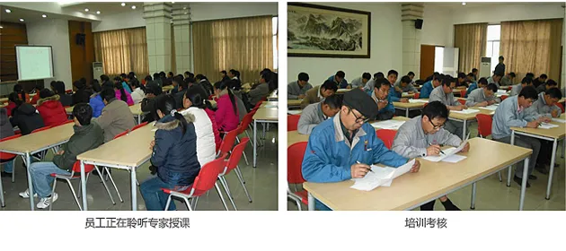 公司活动