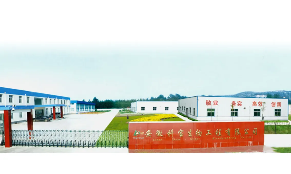 厂房大门