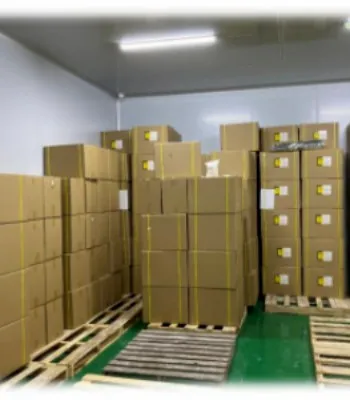 抗坏血酸棕榈酸酯