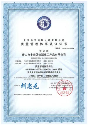 ISO9001(中文)