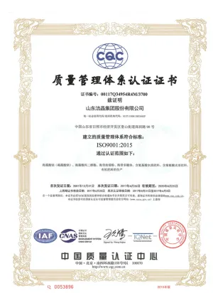 ISO9001(中文)