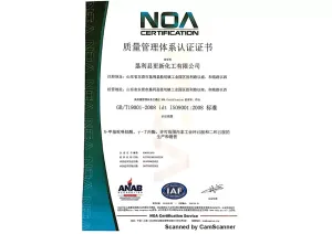 ISO9001(中文)