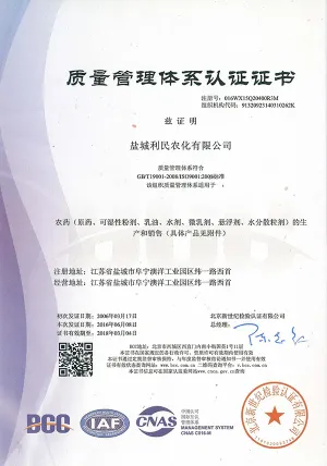 ISO9001(中文)