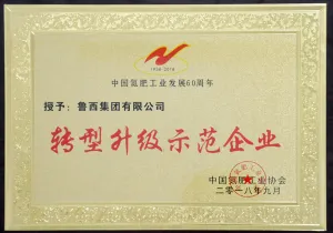 其他证书