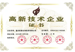 荣誉证书