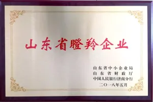 荣誉证书