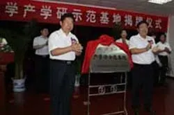 公司活动