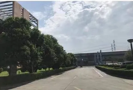 其他图片