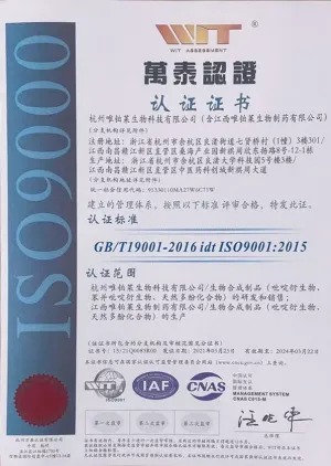 ISO9001(中文)